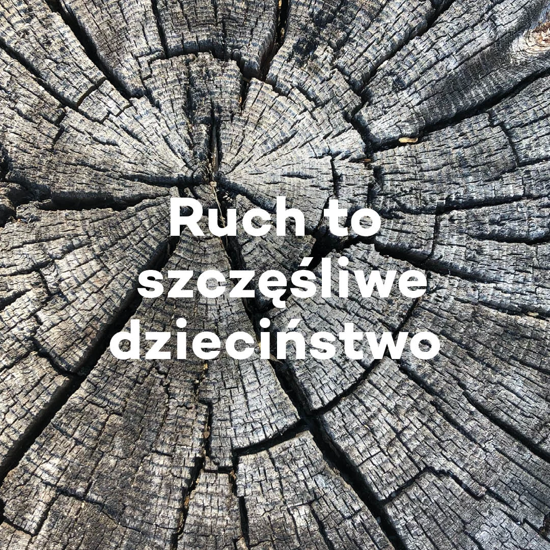 Active slogans PL V12