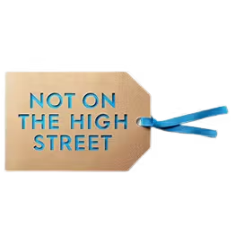 Not On The High Street GOA Google Ads Case Study