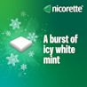 Nicorette Gum - Image 4 - Nicorette - Icy White
