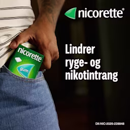 Nicorette Value GUM Thumbnail