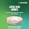 Pastille de Nicotine NICORETTE®, Libére Deux Arômes