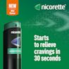 NIC EMEA UK 3574661767697 903390 NICO MSPR S-MNT