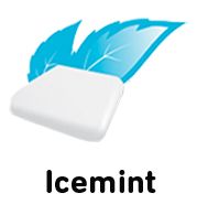 Icemint flavour