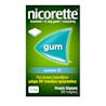 NIC EMEA GR 3574661051581 6833207 625503 Gum Icemint 2MG 30ct 000 TIF
