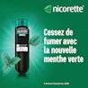 CA Nicorette 062600630223 062600630230 QuickMist Spearmint AFT FR 2 JPG