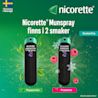 NICORETTE MUNSPRAY FINNS I TVÅ SMAKER: Pepparmint och Fruktmint