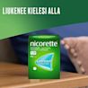 LIUKENEE KIELEN ALLA