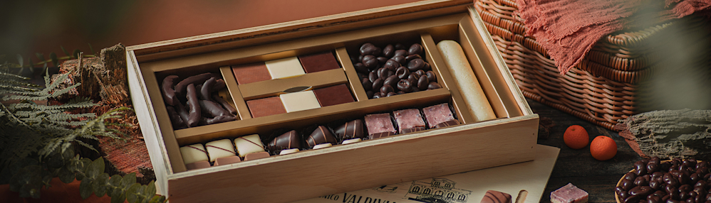 image responsiva de mallplaza