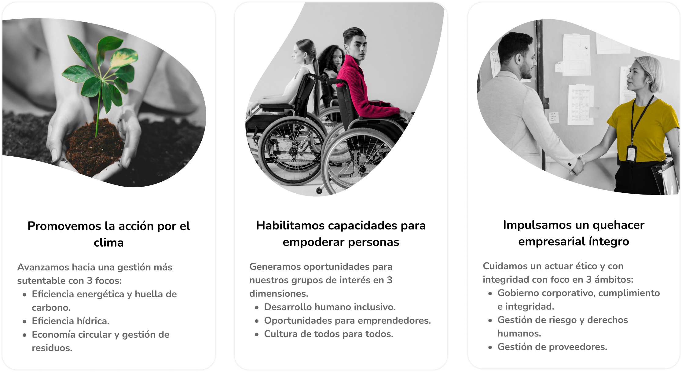 pilares compromiso con la sostenibilidad mallplaza