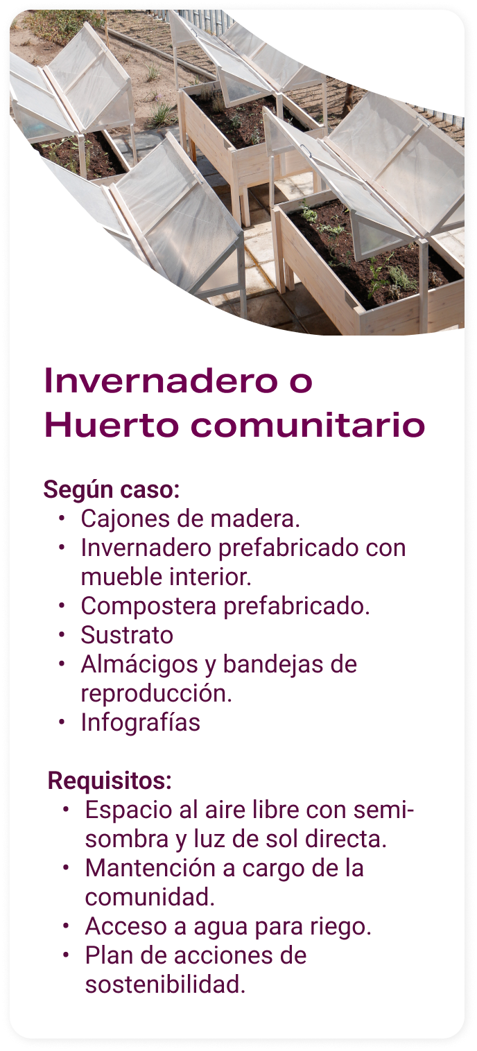 Invernadero o huerto comunitario Aceleradora