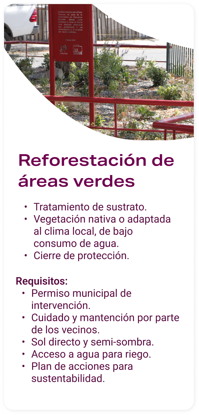 Reofrestación áreas verdes Aceleradora proyectos