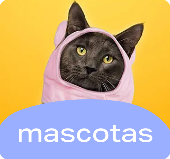 mascotas categoria nueva tienda miniso