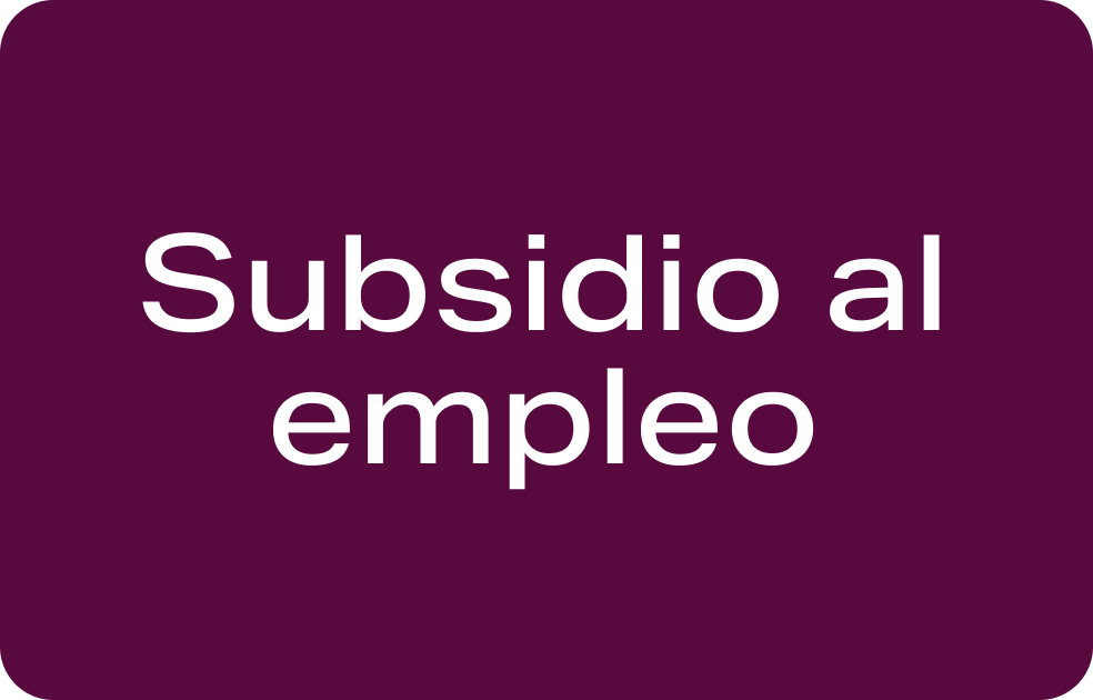 subsidio empleo registro civil mallplaza alameda