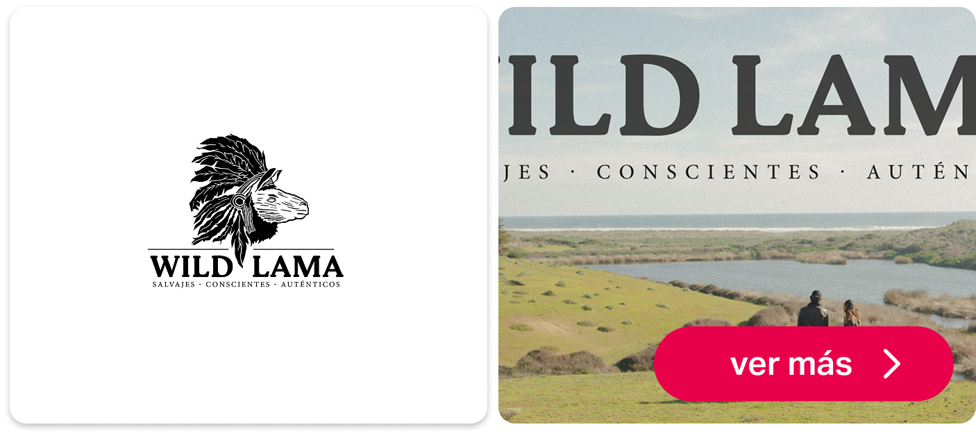 Tienda Wild Lama