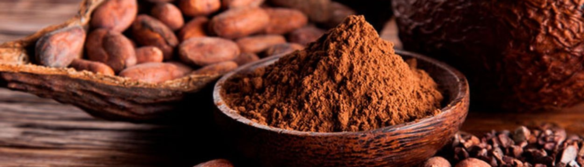 image responsiva de mallplaza