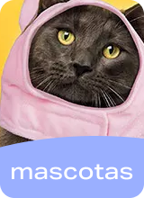 mascotas categoria nueva tienda miniso