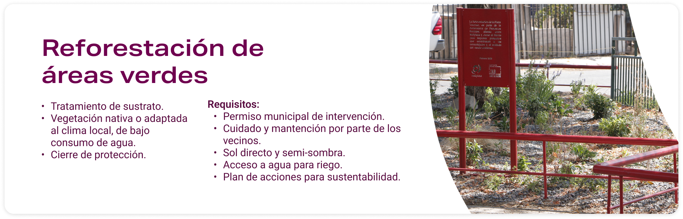 Reofrestación áreas verdes Aceleradora proyectos