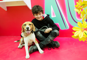 Blog - Pet Friendly 1