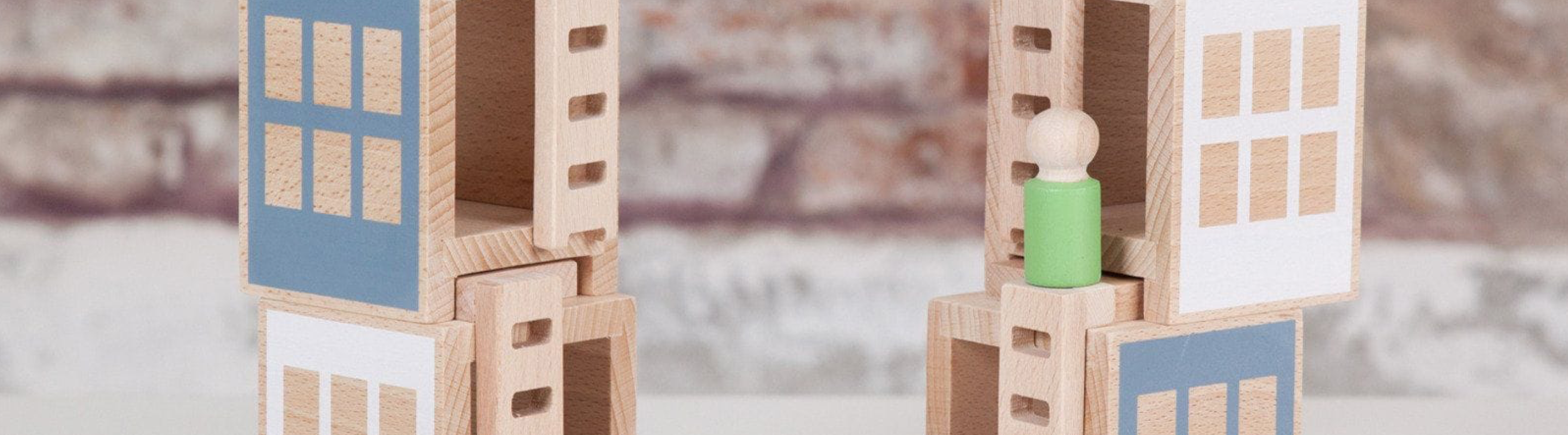 Taller de Mini Construcción