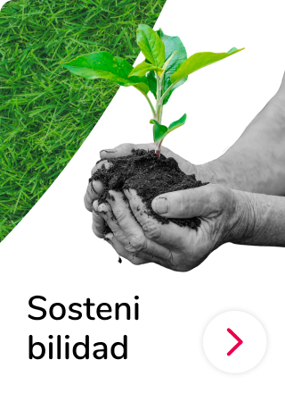 Sostenibilidad en Mallplaza Chile