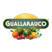 logo de la tienda