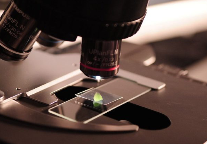 Taller de Ciencia