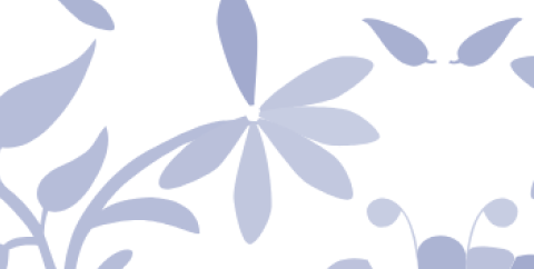 image responsiva de mallplaza