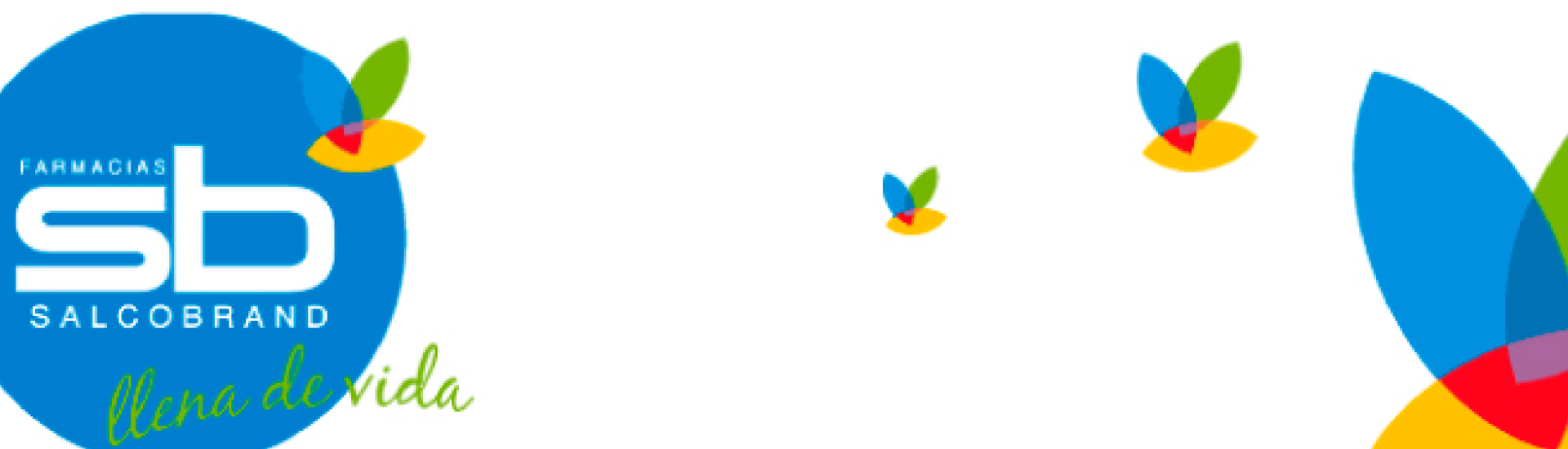 image responsiva de mallplaza