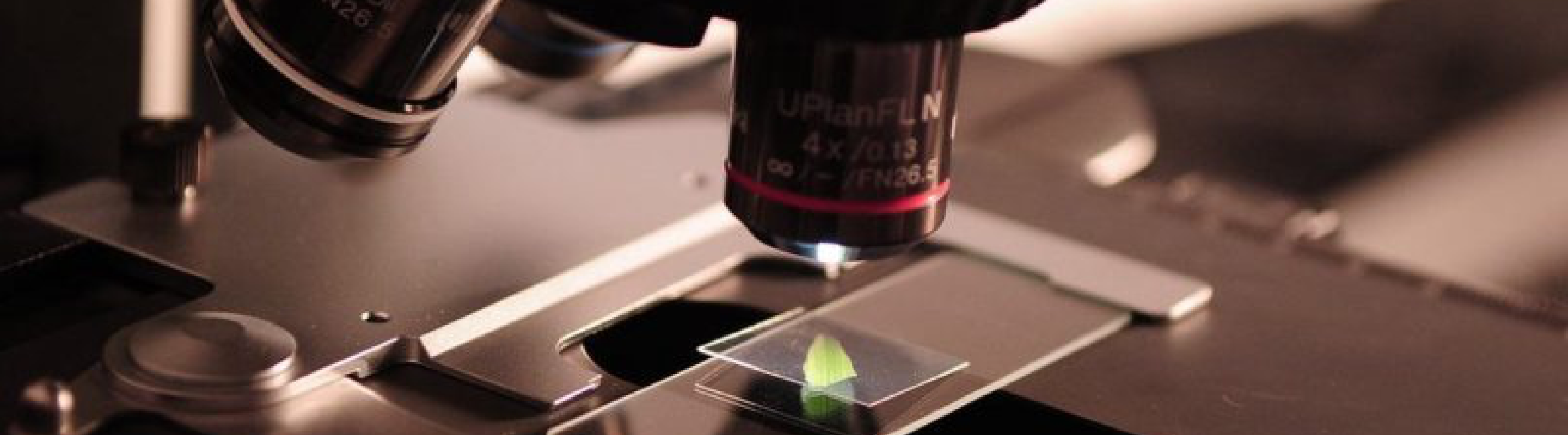 Taller de Ciencia