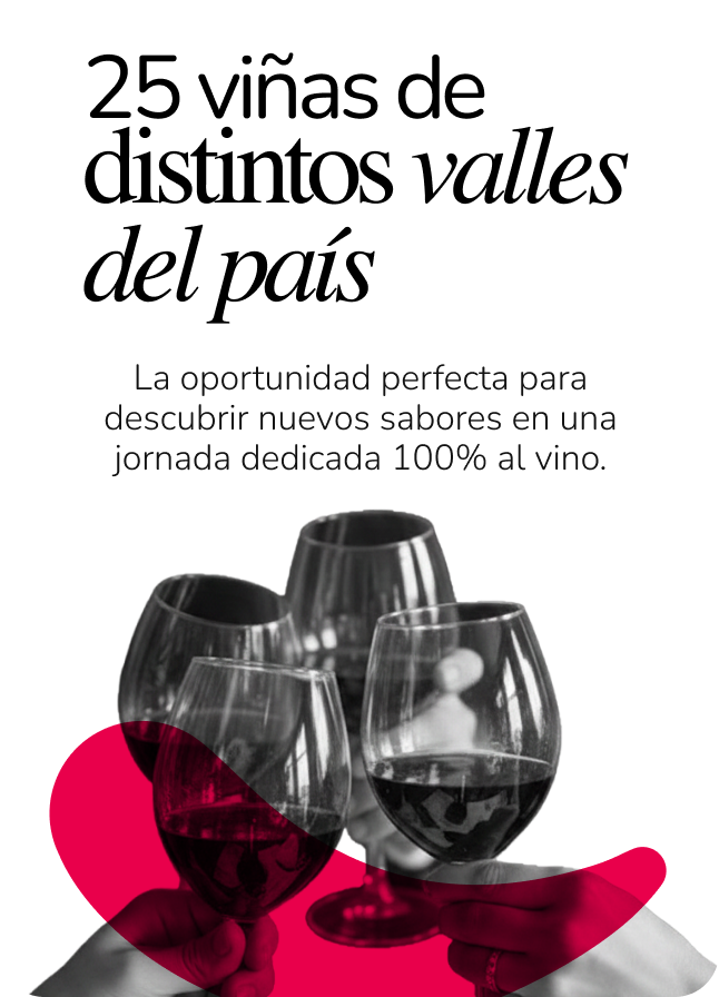 25 Diferentes Viñas Bocas Moradas Mallplaza