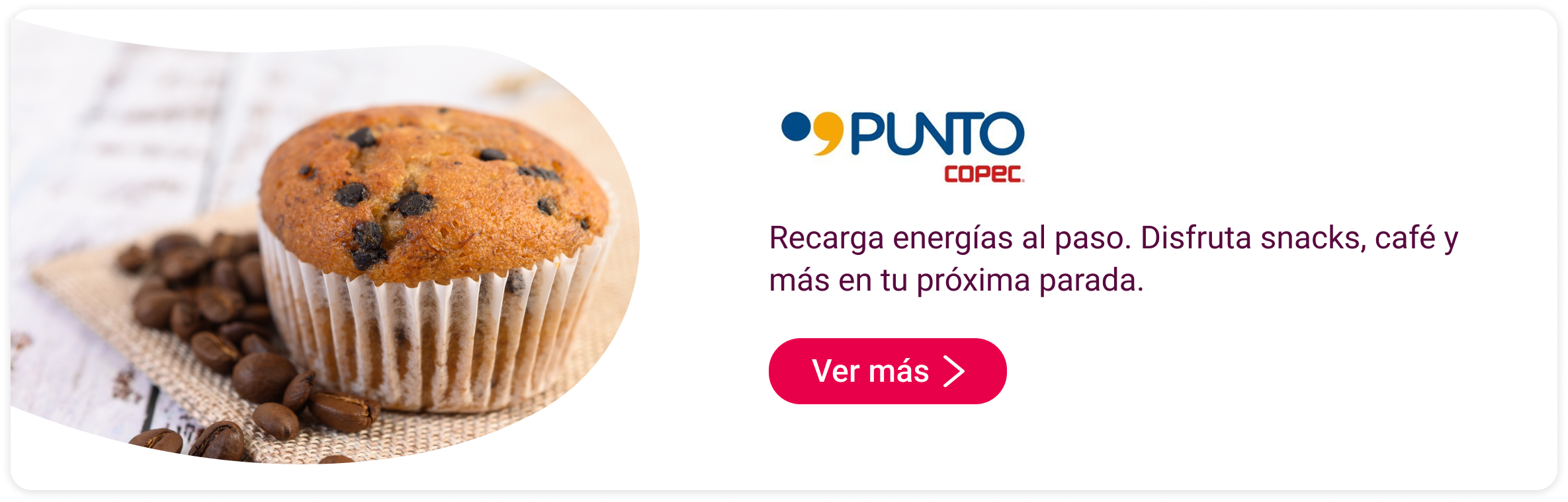Punto Copec en Mallplaza Alameda