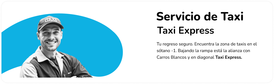 Servicio de Taxi