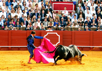 Blog - Feria de Manizales 2