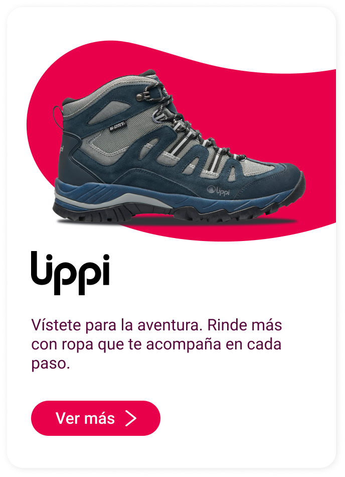 Lippi en Mallplaza Alameda