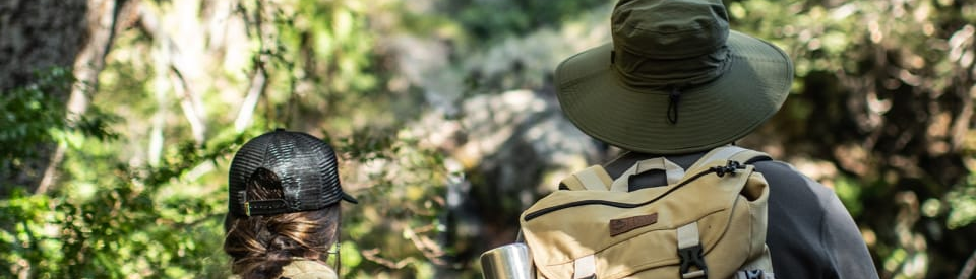 image responsiva de mallplaza