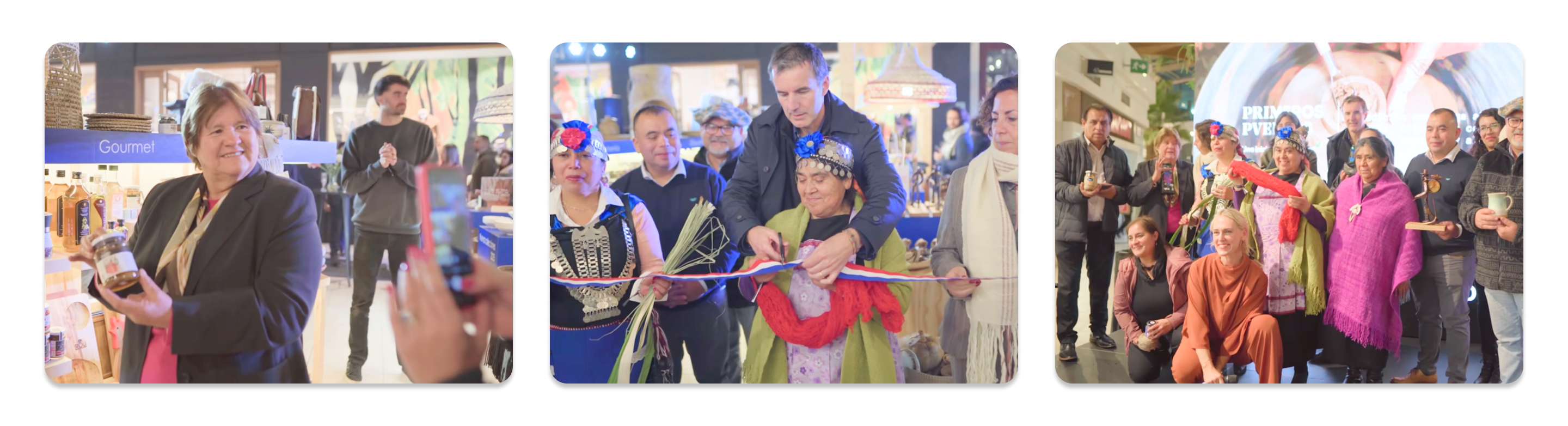 Jornada proyecto primeros pueblos Mallplaza Trébol