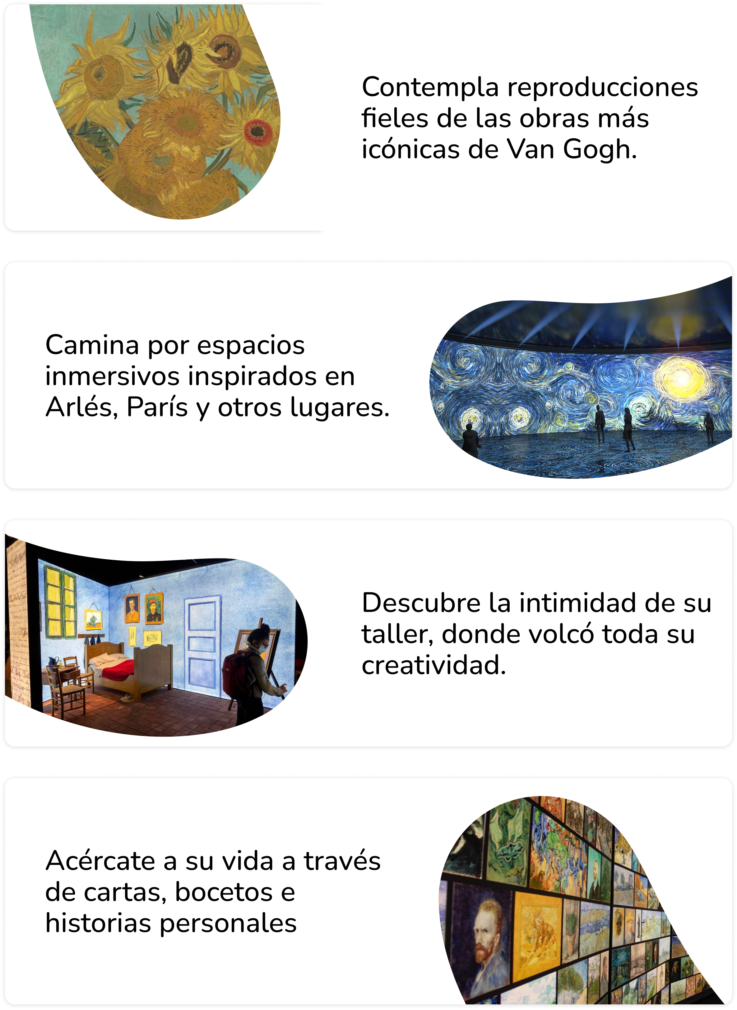 Descubre Van Gogh en vivo Mallplaza Arica