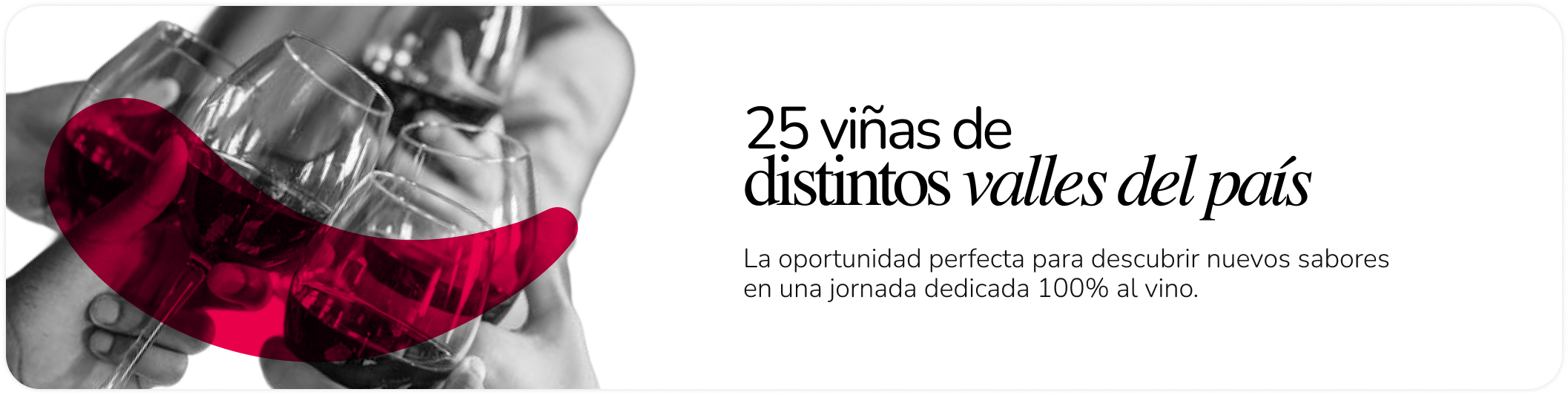 25 Diferentes Viñas Bocas Moradas Mallplaza