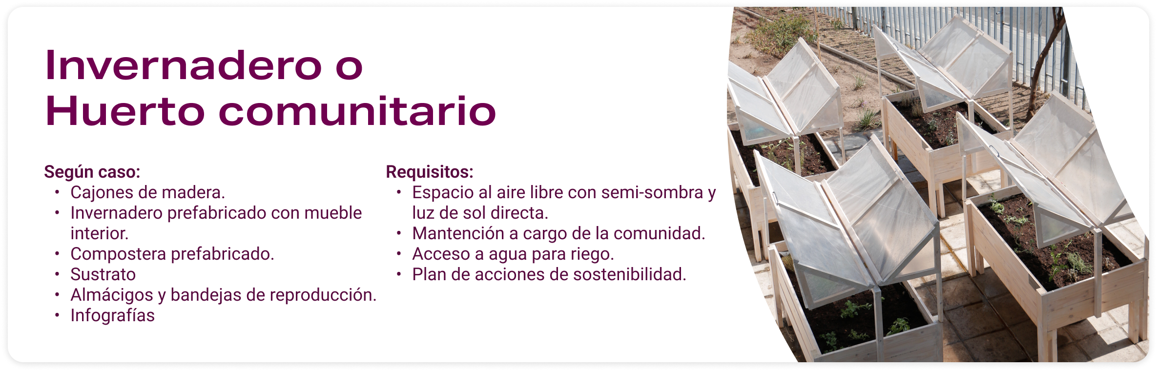 Invernadero o huerto comunitario Aceleradora