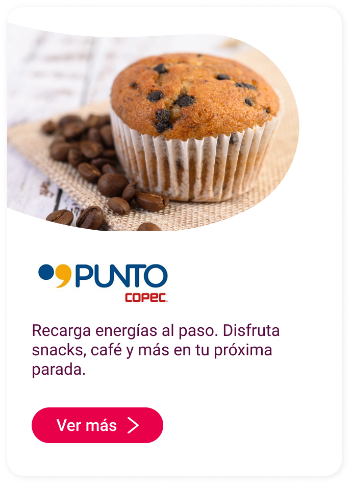 Punto Copec en Mallplaza Alameda