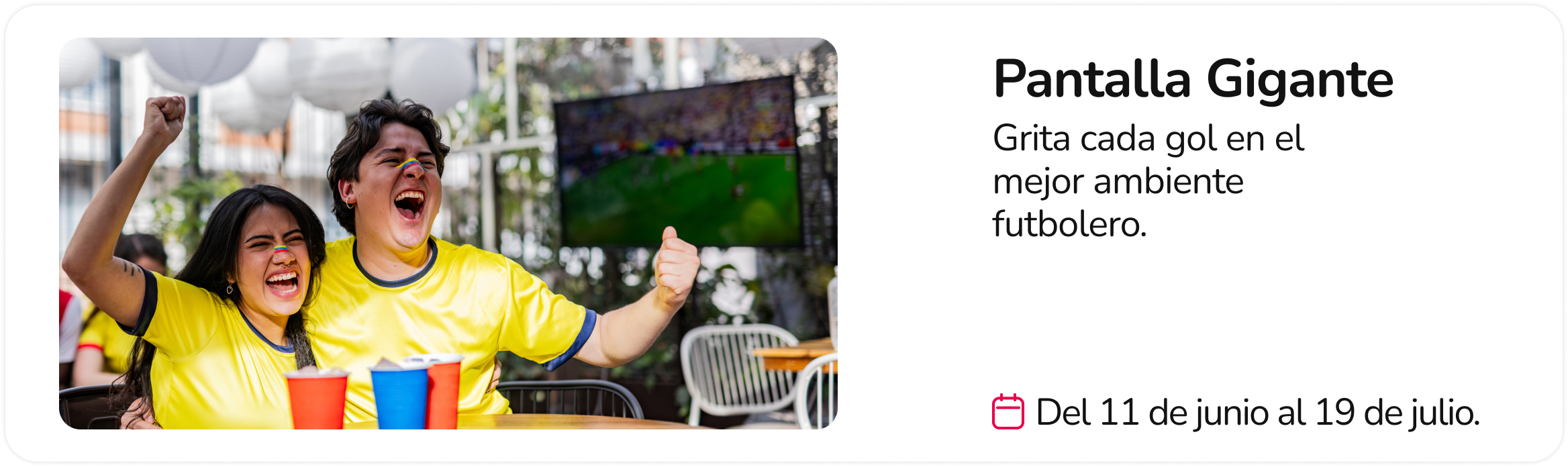 Pantalla Gigante