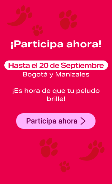 Mascotas
