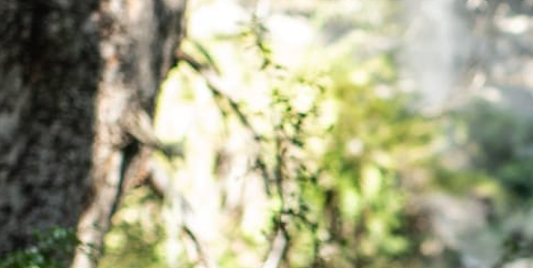 image responsiva de mallplaza