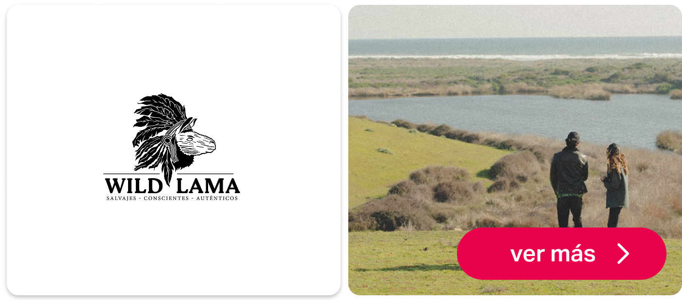 Nueva apertura Wild Lama en Mallplaza