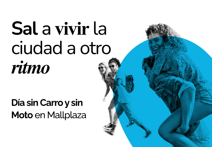 Día Nacional sin carro