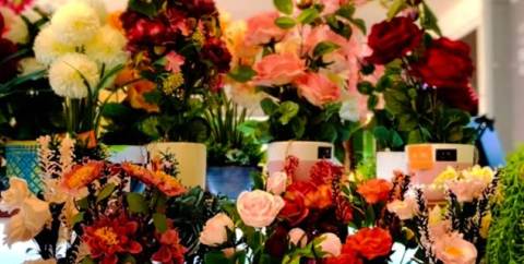 image responsiva de mallplaza