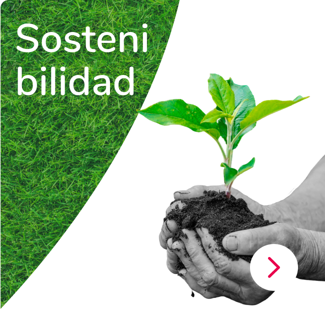 Sostenibilidad en Mallplaza Chile