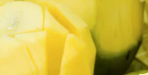 image responsiva de mallplaza