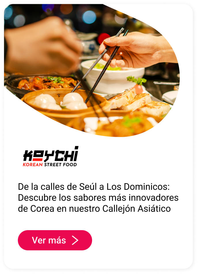 Koychi Callejón Asiático Mallplaza Los Dominicos
