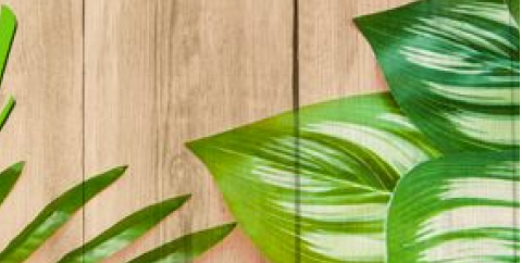 image responsiva de mallplaza